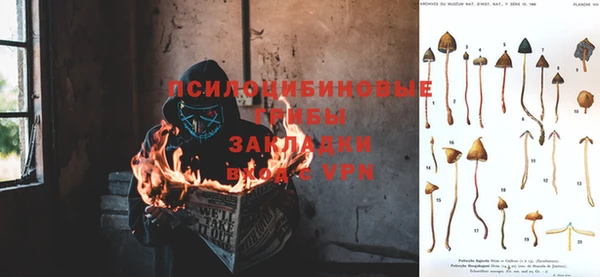 mdpv Белокуриха