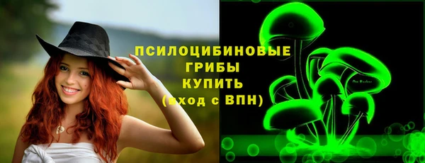 mdpv Белокуриха