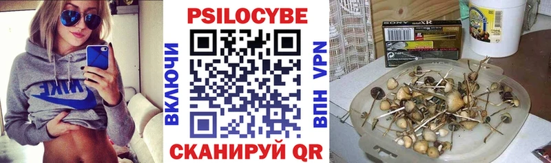 закладки  Бузулук  Псилоцибиновые грибы прущие грибы 