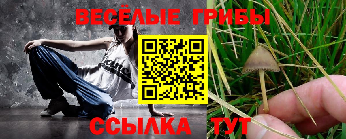 Псилоцибиновые грибы ЛСД  Вход с VPN  Бузулук 