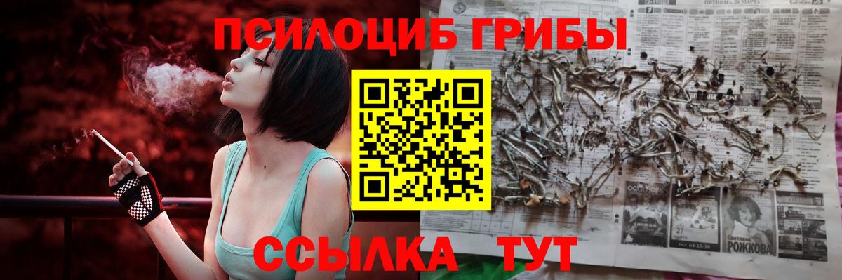 Псилоцибиновые грибы мухоморы Бузулук